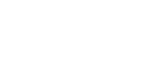 Playzee logo
