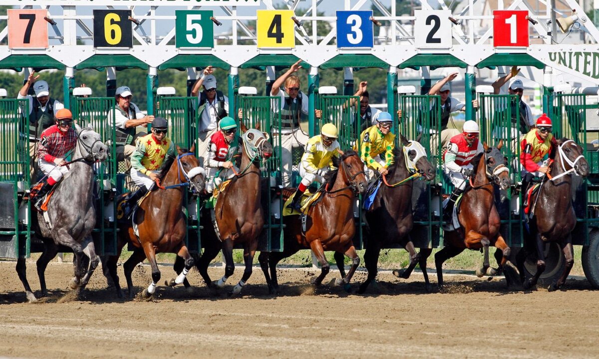 Horse race leaving the starting gate for the New Zealand betting tips guide